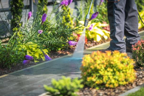 Best Sidewalk and Walkway Cleaning  in Agler Beach, FL