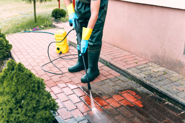 Best Dumpster Area Cleaning  in Agler Beach, FL